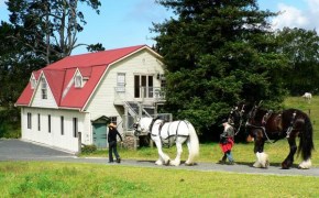 The Carriage House-Bay of Islands, Kerikeri